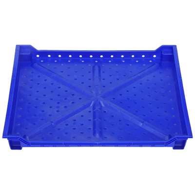 BERRY TRAY- Shallow Flat